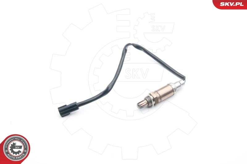Oxygen Sensor